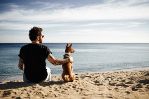 Nordsee Urlaub mit Hund